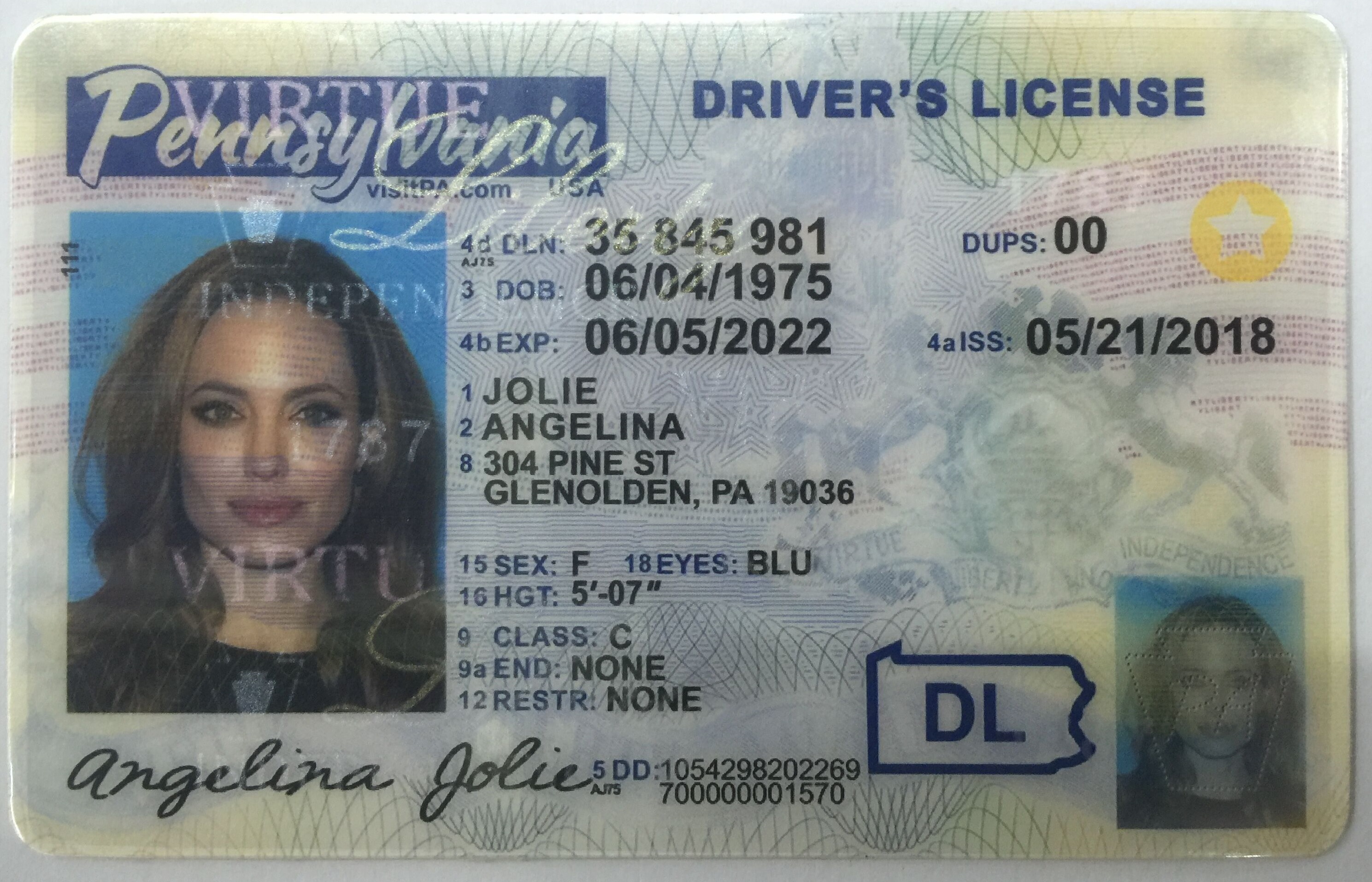 Fake Driving License - Pennsylvania